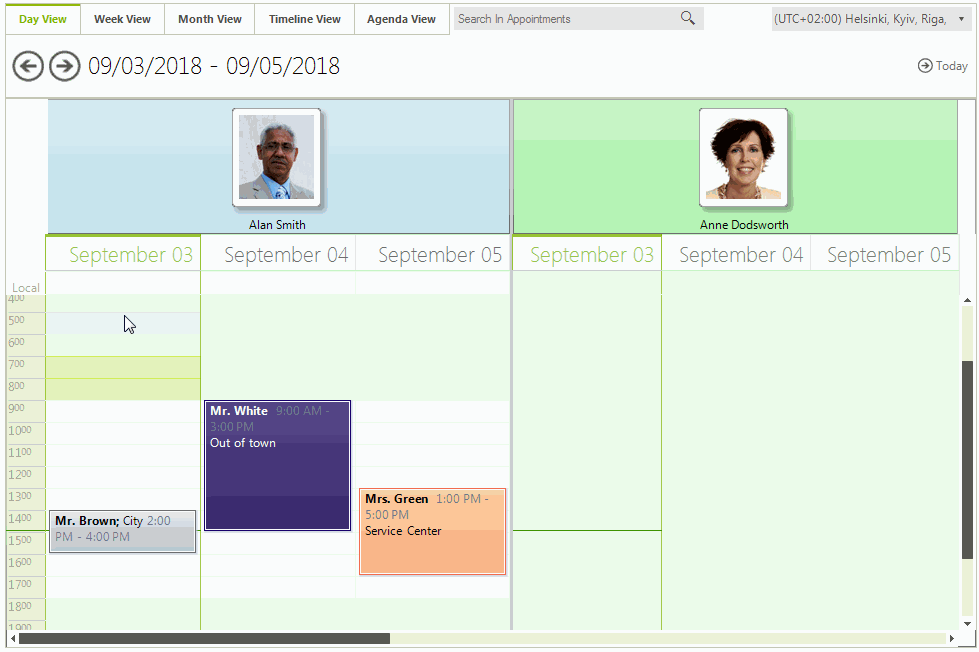 WinForms RadScheduler SchedulerViewElement Settings