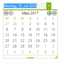 WinForms RadDateTimePicker German Culture