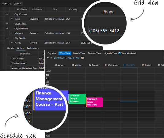 Windows11CompactDark Theme