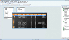 WinForms RadGridView Relational Hierarchy Mode Tutorial