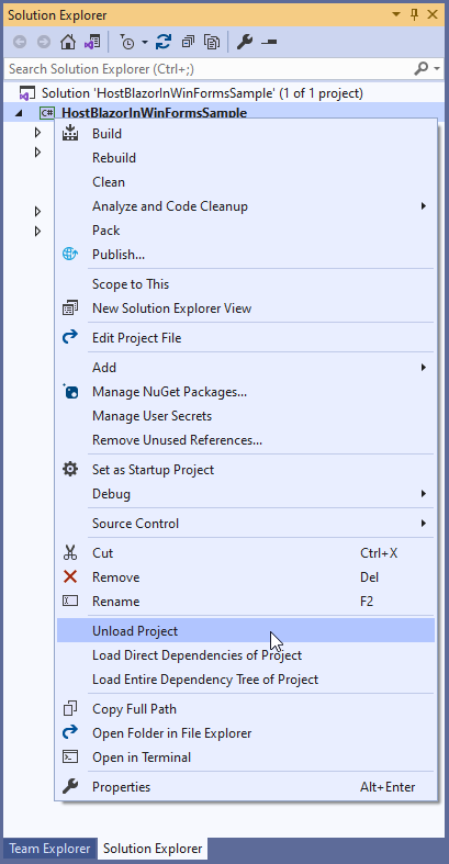host-blazor-in-winforms006