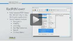 WinForms RadPdfViewer Turoarial Overview