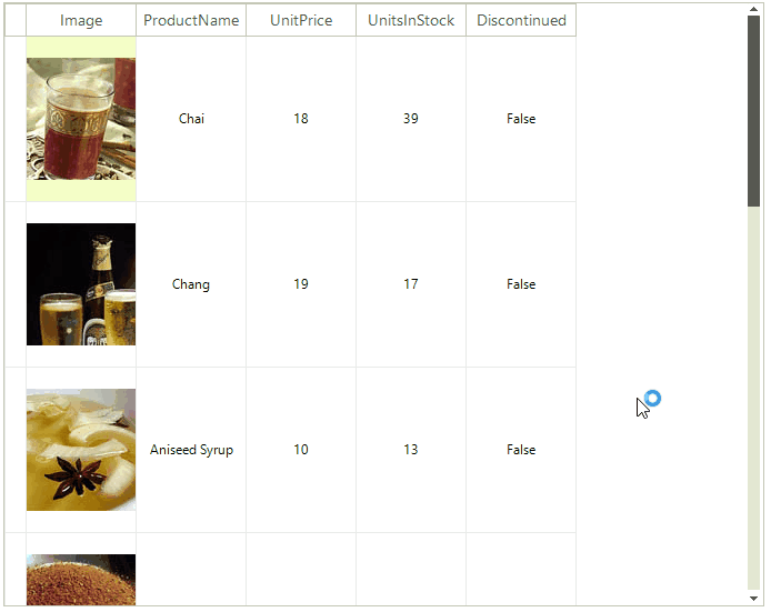 WinForms RadVirtualGrid Overview