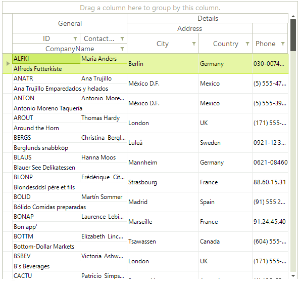 WinForms RadGridView ColumnGroupsViewDefinition