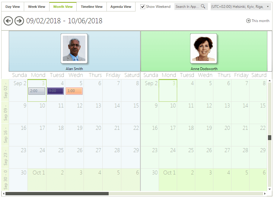WinForms RadScheduler Month View