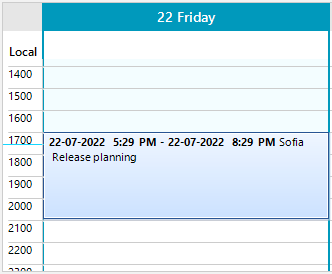 WinForms RadScheduler Custom Format
