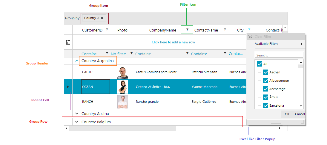 WinForms RadGridView Grouping Filtering Structure