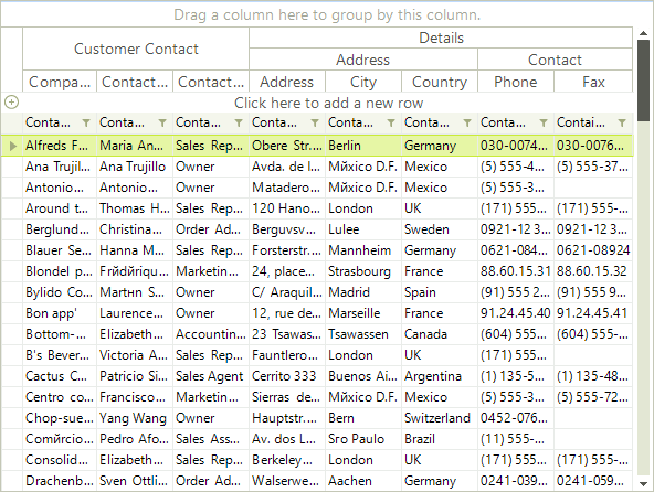 WinForms RadGridView ColumnGroups ViewDefinition