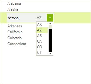 WinForms RadTreeView Custom Editors