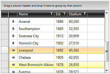 Telerik WPF DataGrid-pinned-rows-2