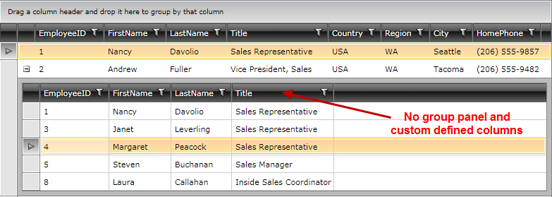Telerik WPF DataGrid how to child grid