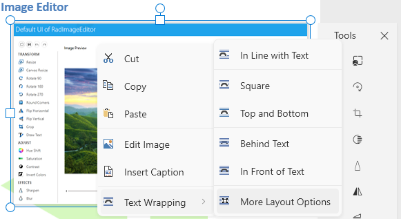 An image showing the button that opens the floating block properties dialog of RadRichTextBox for WPF
