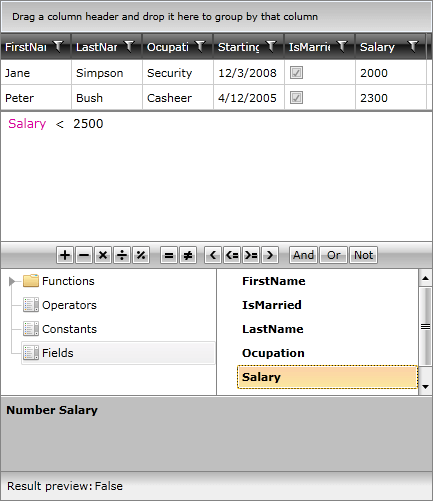WPF RadExpressionEditor Filtering RadGridView
