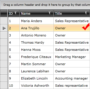 Telerik WPF DataGrid Functional Overview Selection 1