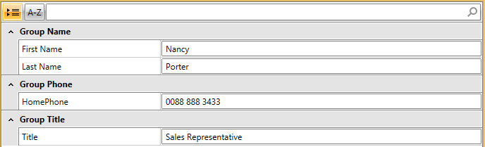 WPF RadPropertyGrid Default Group Appearance