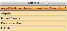 WPF RadComboBox RadCombobBox after executing SelectAll command
