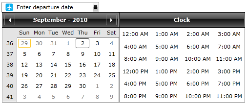 WPF RadDateTimePicker with DateTimeWatermarkTemplate