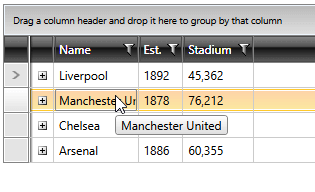 Telerik WPF DataGrid trimmed-text-tooltips-1