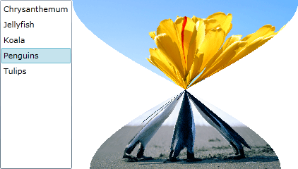 WPF RadTransitionControl Flip Warp Transition