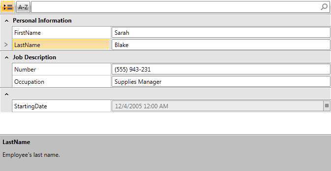Rad Property Grid Data Annotations 5