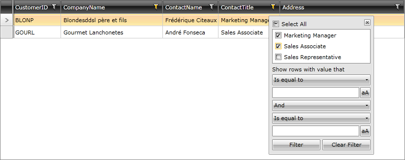 WPF RadDataServiceDataSource Filtering via RadGridView