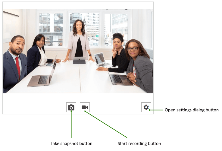 WPF RadWebCam Initial State Visual Structure