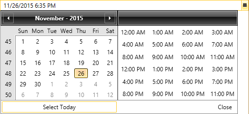 raddatetimepicker-todaybutton-0