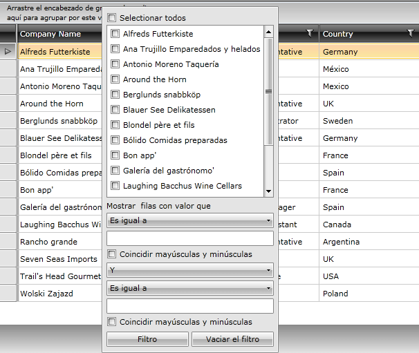 Telerik WPF DataGrid-Localization Default Language 2
