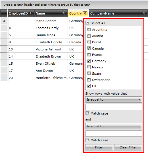 Telerik WPF DataGrid FunctionalOverview Filtering 1