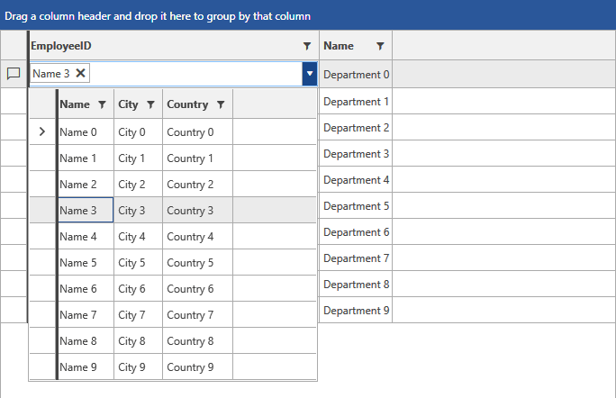 Setting up the MultiColumnComboBox Column in RadGridView - Telerik's WPF DataGrid