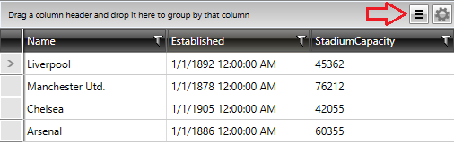 Telerik WPF DataGrid control panel 01