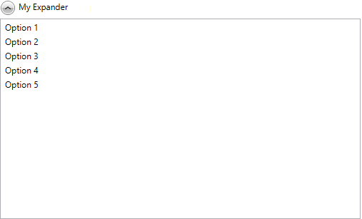 The RadExpander generated by the code in Example 1