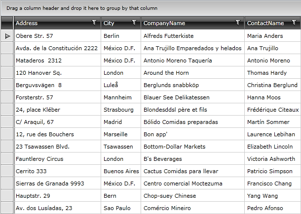 Telerik WPF DataGrid PopulatingWithDataLoadFromWcf 010