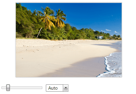WPF RadImageEditor ZoomController