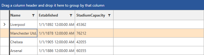 Telerik WPF DataGrid SelectedRow Background 02