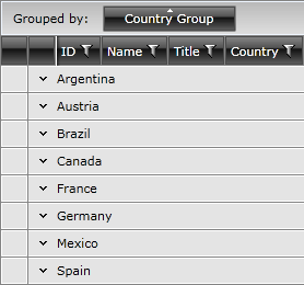 Telerik WPF DataGrid ProgrammaticGrouping 1