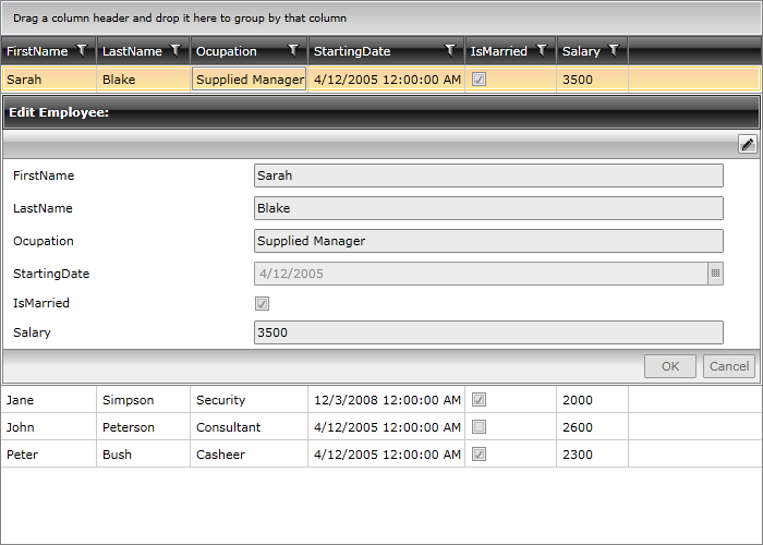 RadDataForm integrated with RadGridView