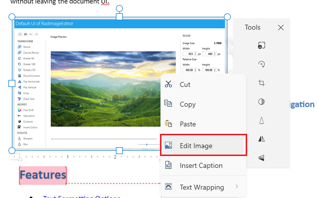 An image showing the button that opens the image editor dialog of RadRichTextBox for WPF