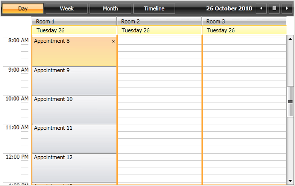 WPF RadScheduleView Location Resources