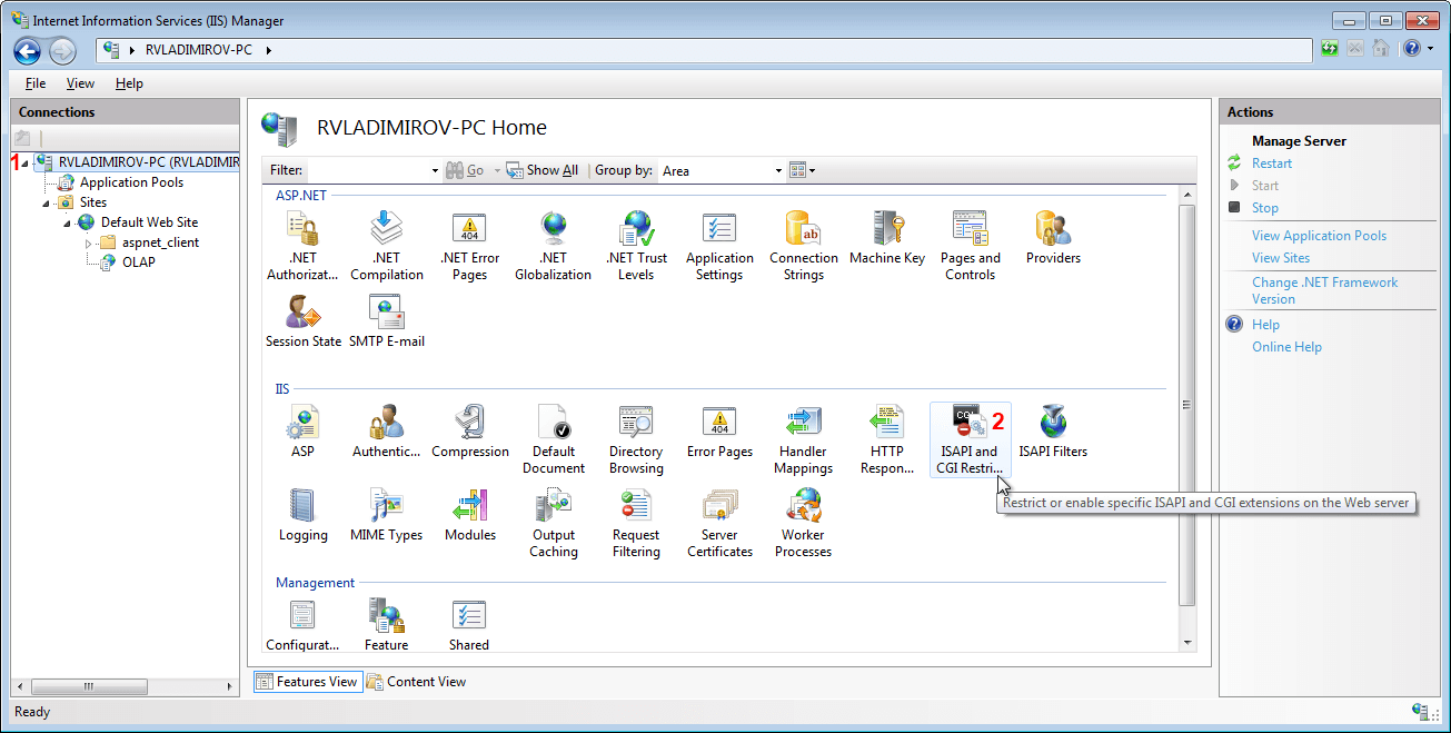 Rad Pivot Grid How To Set Http Access To Cube 9