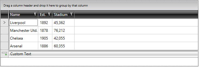 Telerik WPF DataGrid new row text
