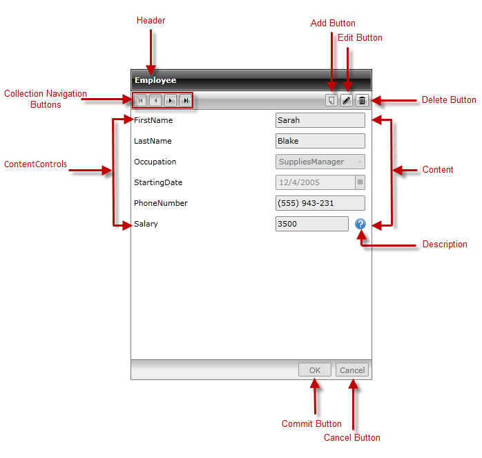 WPF RadDataForm Visual Structure
