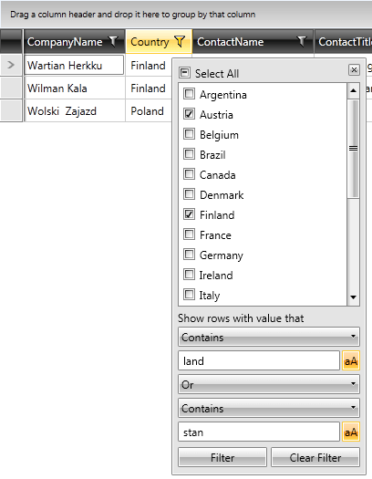 Telerik WPF DataGrid filtering programmatic 01
