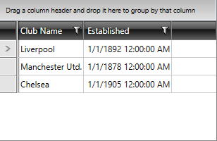 Telerik WPF DataGrid-getting-started2 6