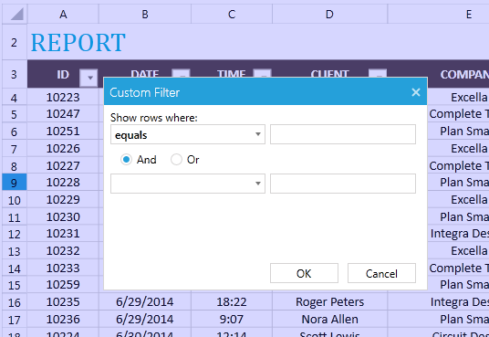 Rad Spreadsheet UI Filtering 03