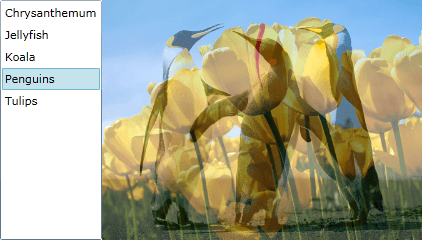 WPF RadTransitionControl Fade Transition