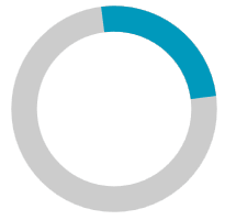 RadCircularProgressBar with custom animation