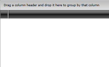 Telerik WPF DataGrid GettingStarted 2