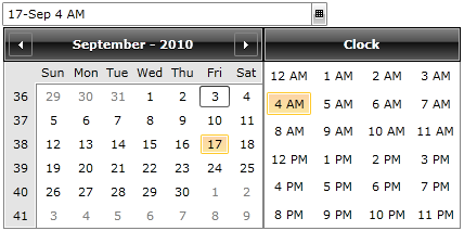 WPF RadDateTimePicker Customized Culture Format
