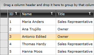 Telerik WPF DataGrid Editing Items 2